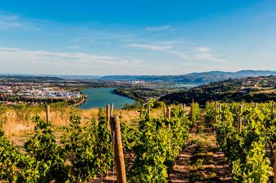 La Vallée du Rhône méridionale